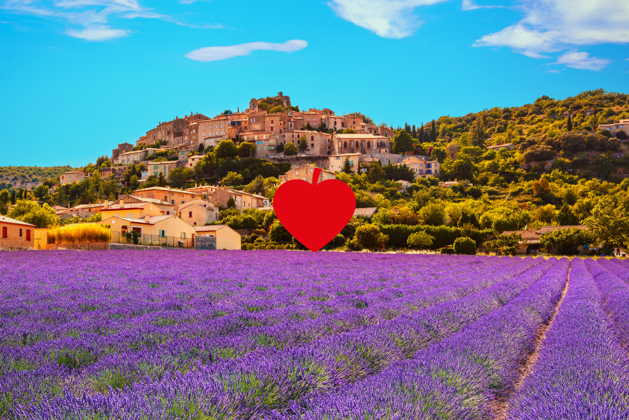 Champs de Provence