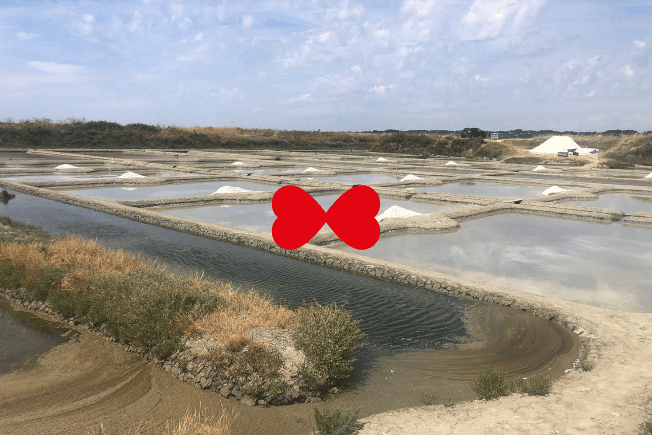 trouver un matchmaker à Nantes