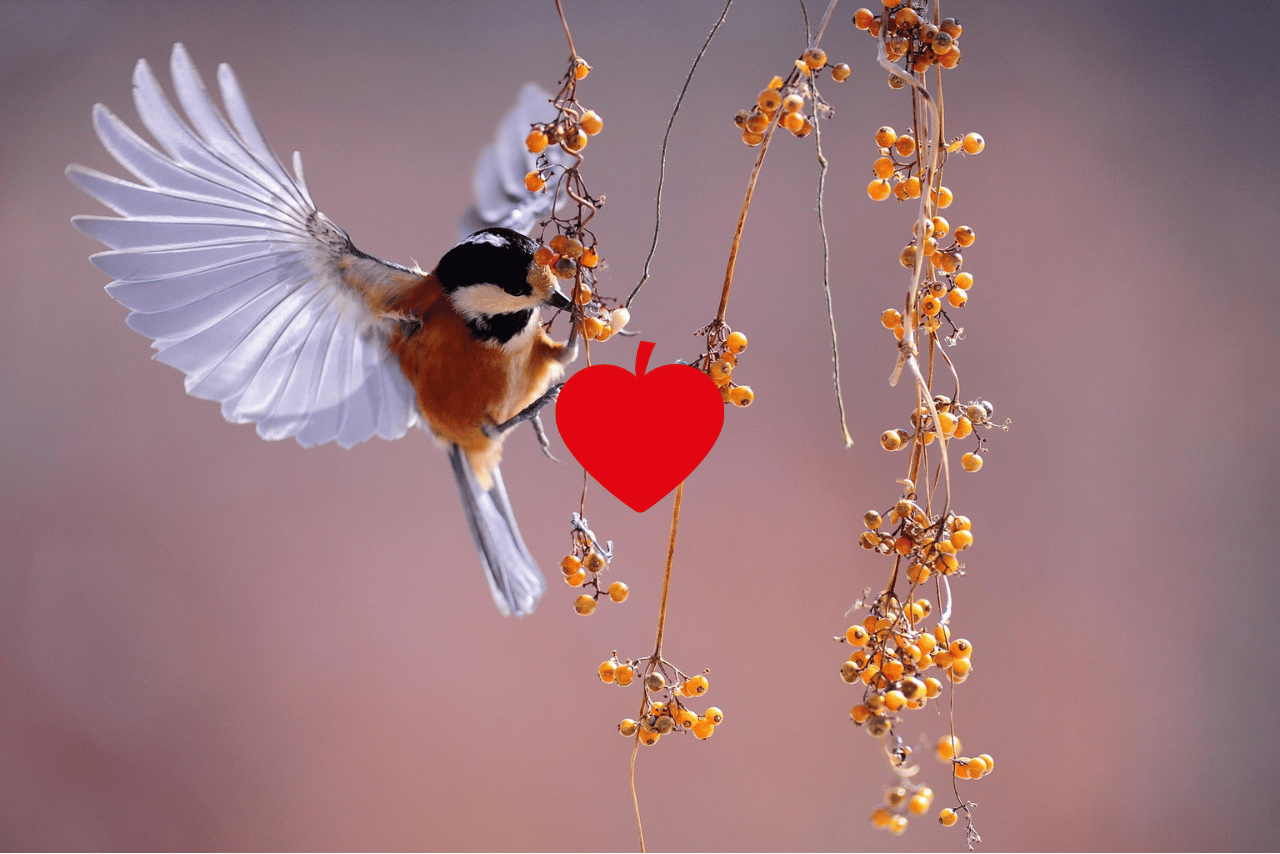 matchmaking en isère