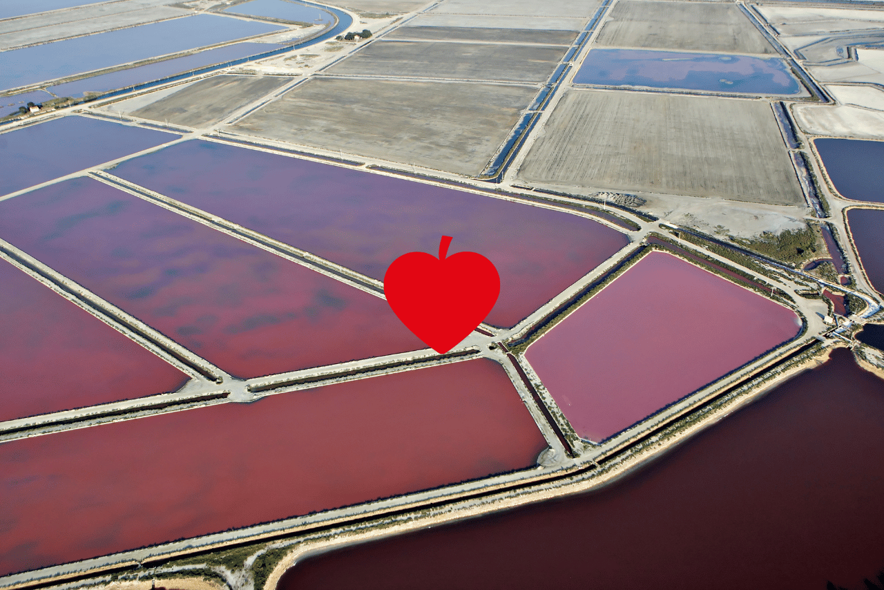 matchmaking en occitanie - rencontres amoureuses