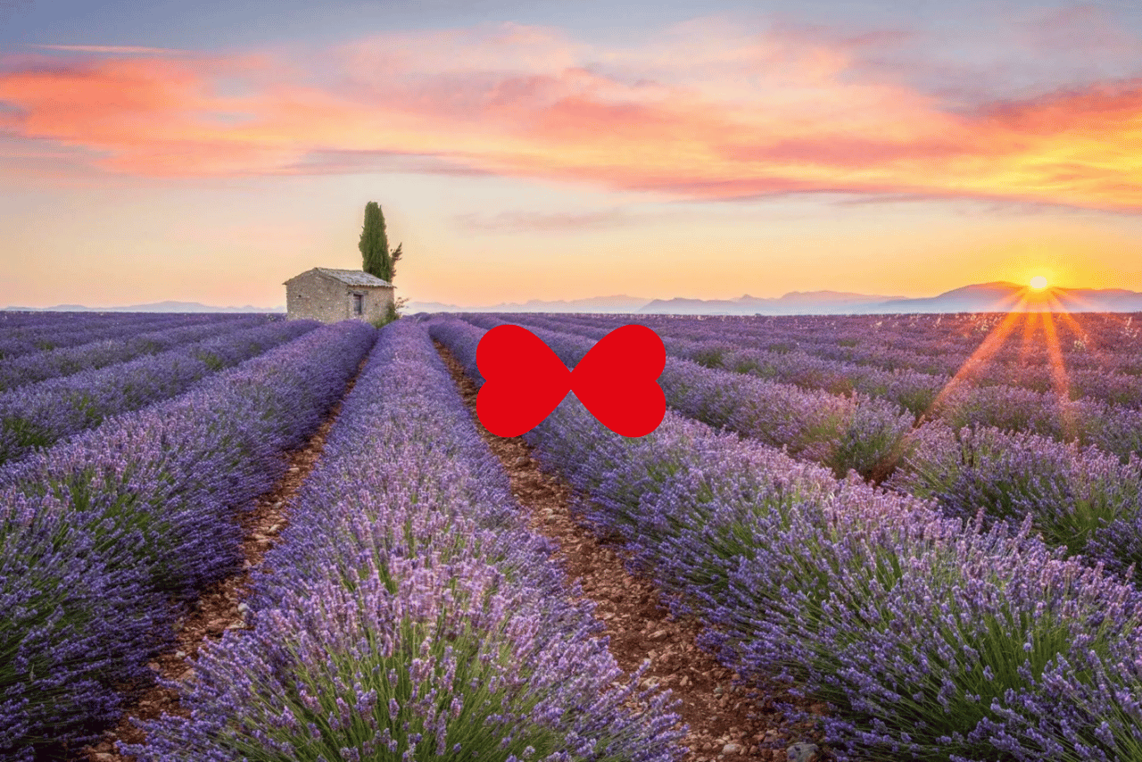 trouver un matchmaker en Provence PACA Salon de Provence