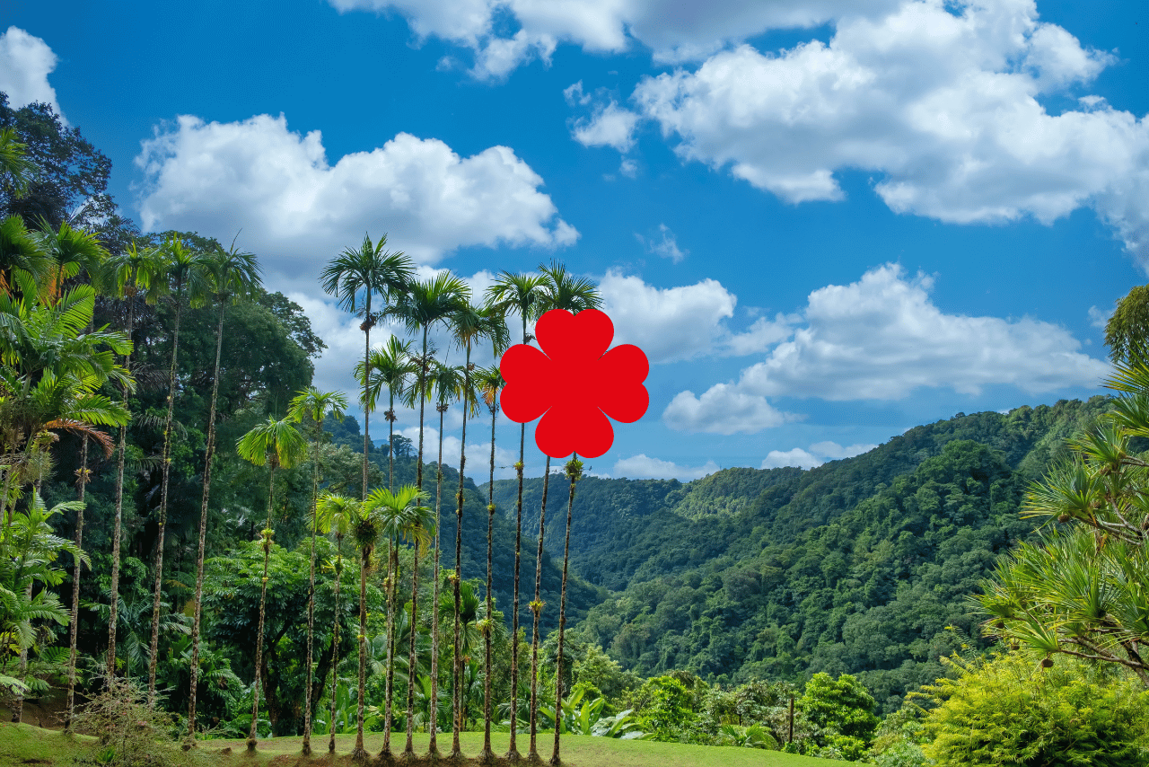 Faire des rencontre en martinique et antilles